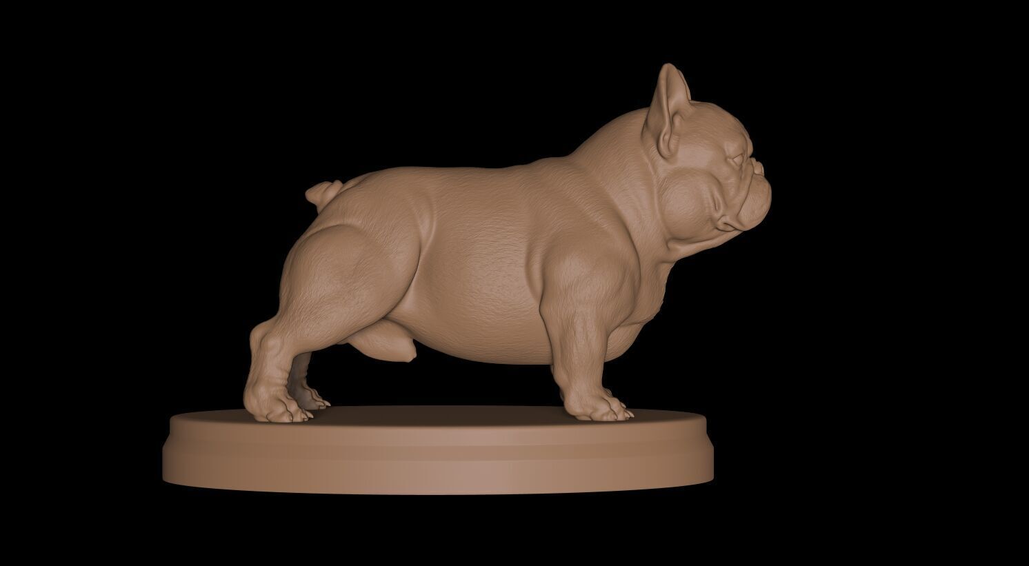 French Bulldog Exotic 3D print model_2