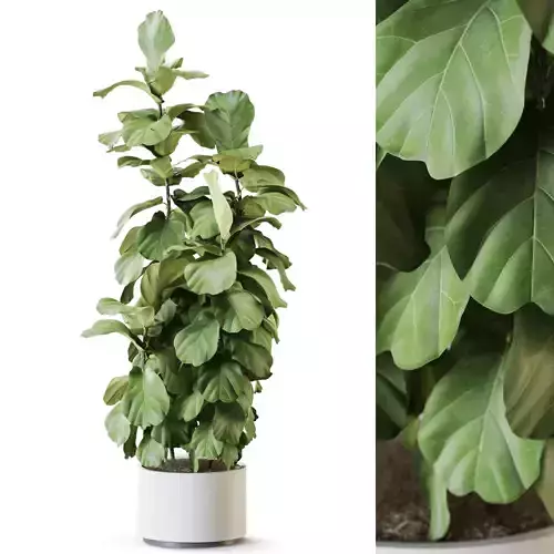 Plant 1251 3D model
