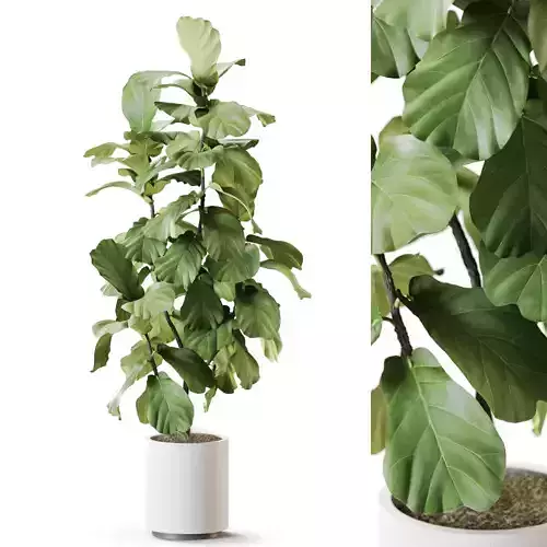 Plant 1253 3D model