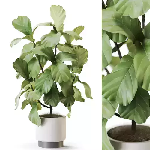 Plant 1254 3D model