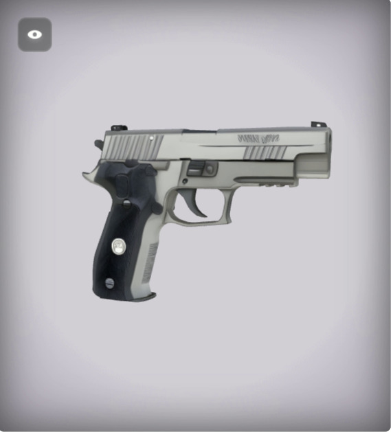 Sig Sauer P226 Handguns 3D model_11