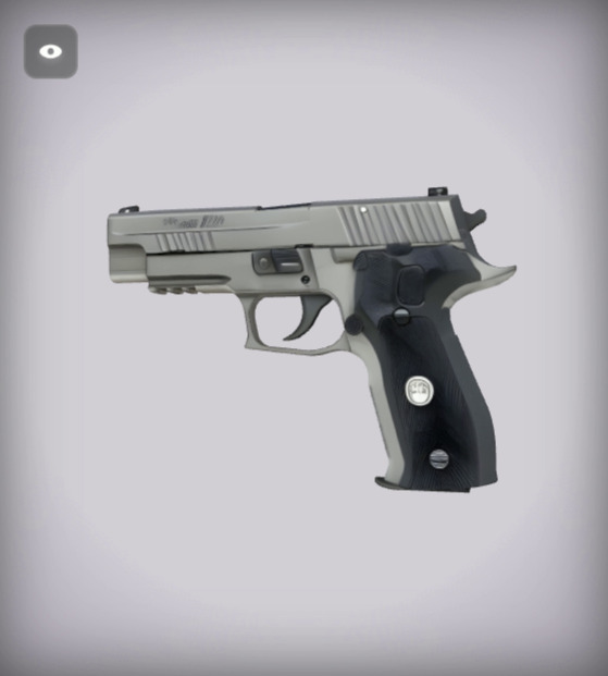 Sig Sauer P226 Handguns 3D model_8