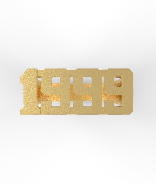 ring 1999 3D print model_1