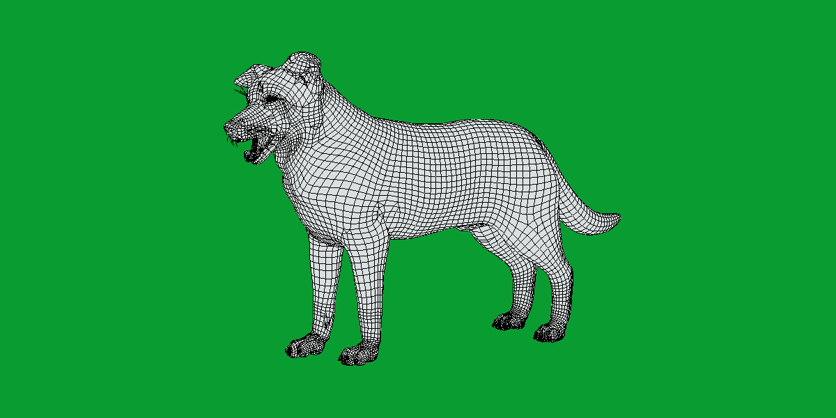 Blue Merle Border Collie Dog Low-poly 3D model_5