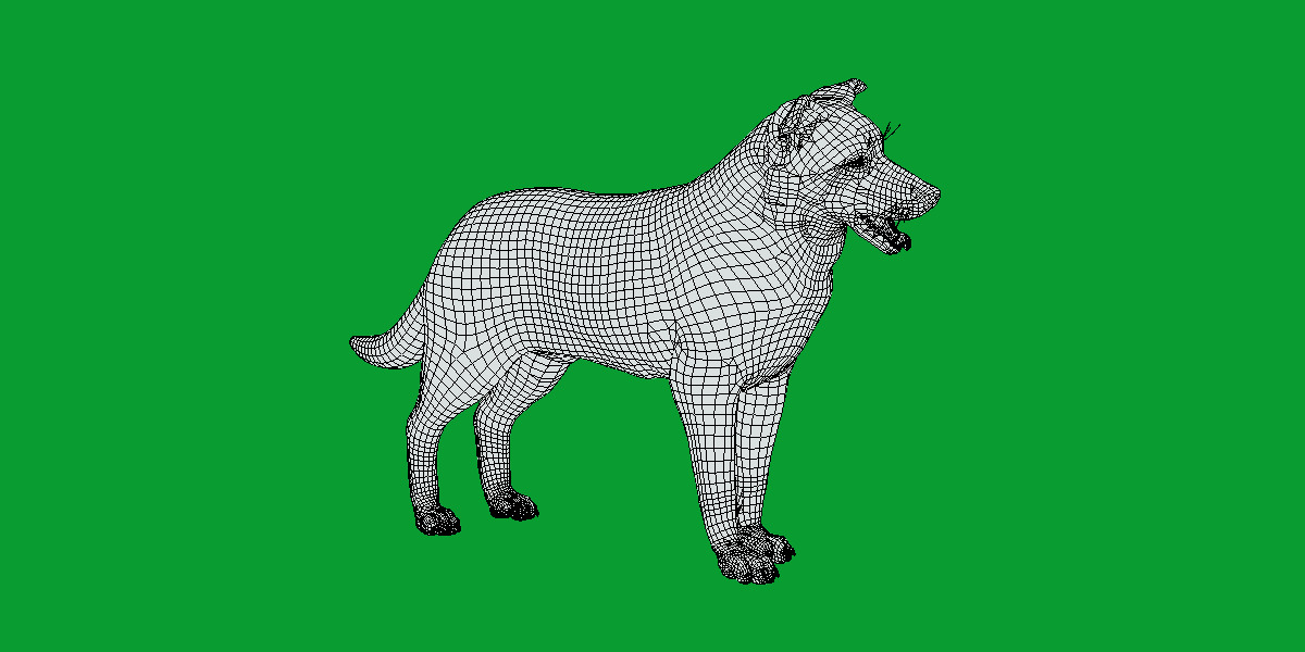 Blue Merle Border Collie Dog Low-poly 3D model_20