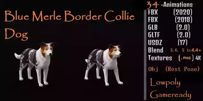 Blue Merle Border Collie Dog Low-poly 3D model