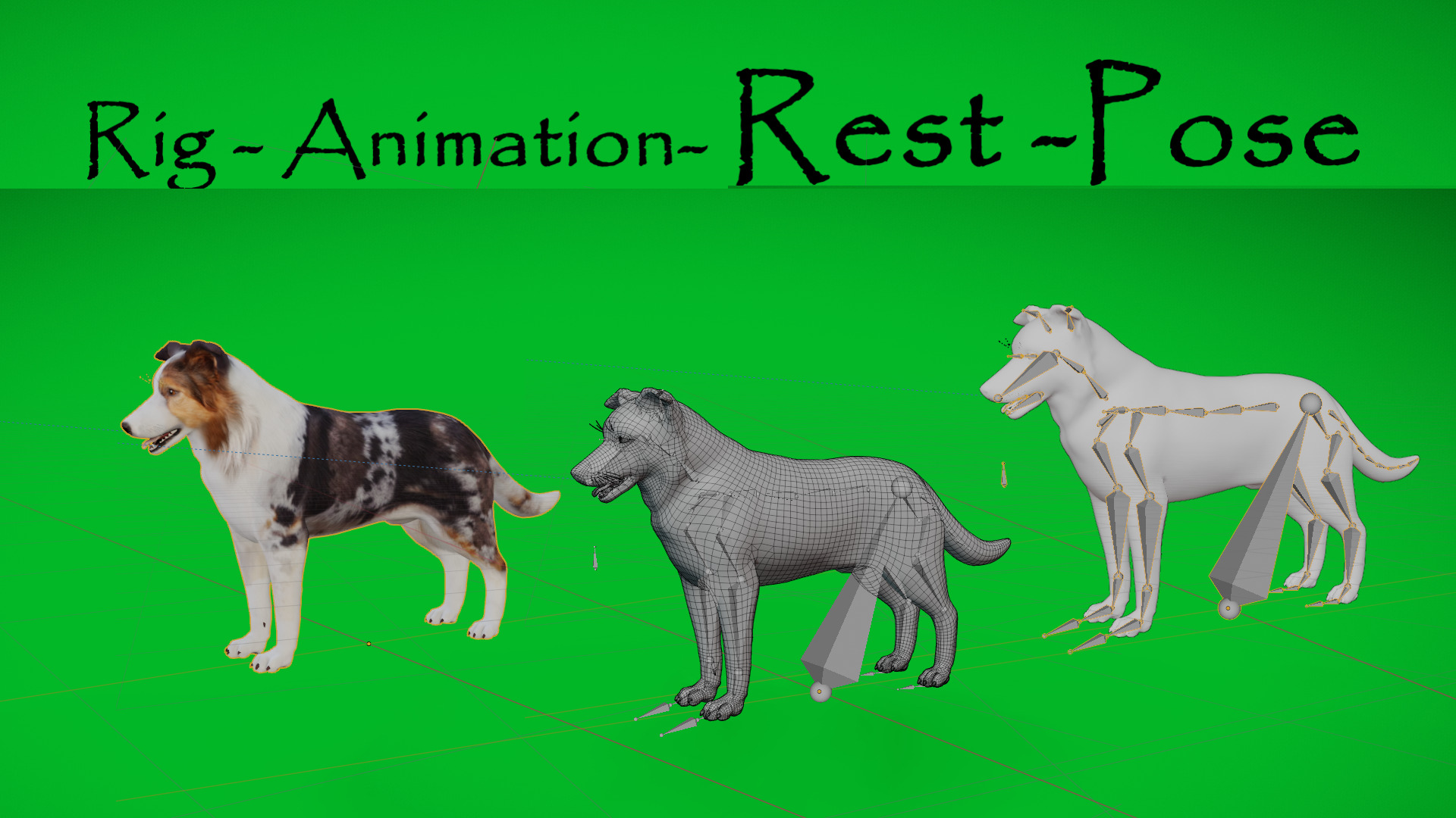 Blue Merle Border Collie Dog Low-poly 3D model_50