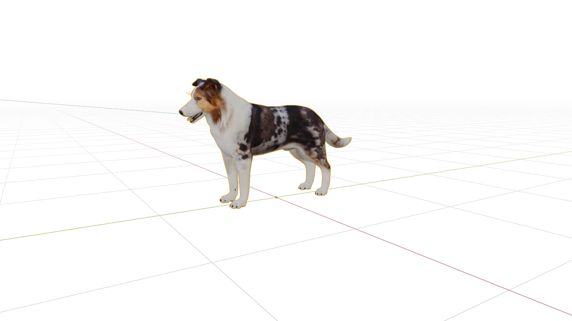 Blue Merle Border Collie Dog Low-poly 3D model_32