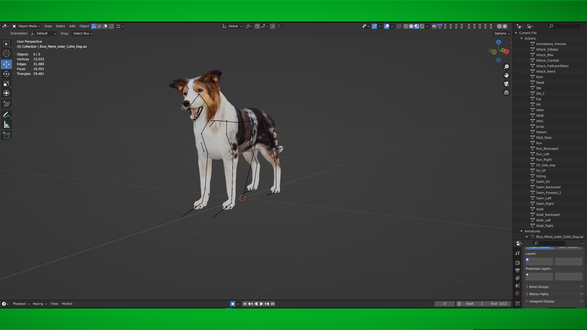 Blue Merle Border Collie Dog Low-poly 3D model_49