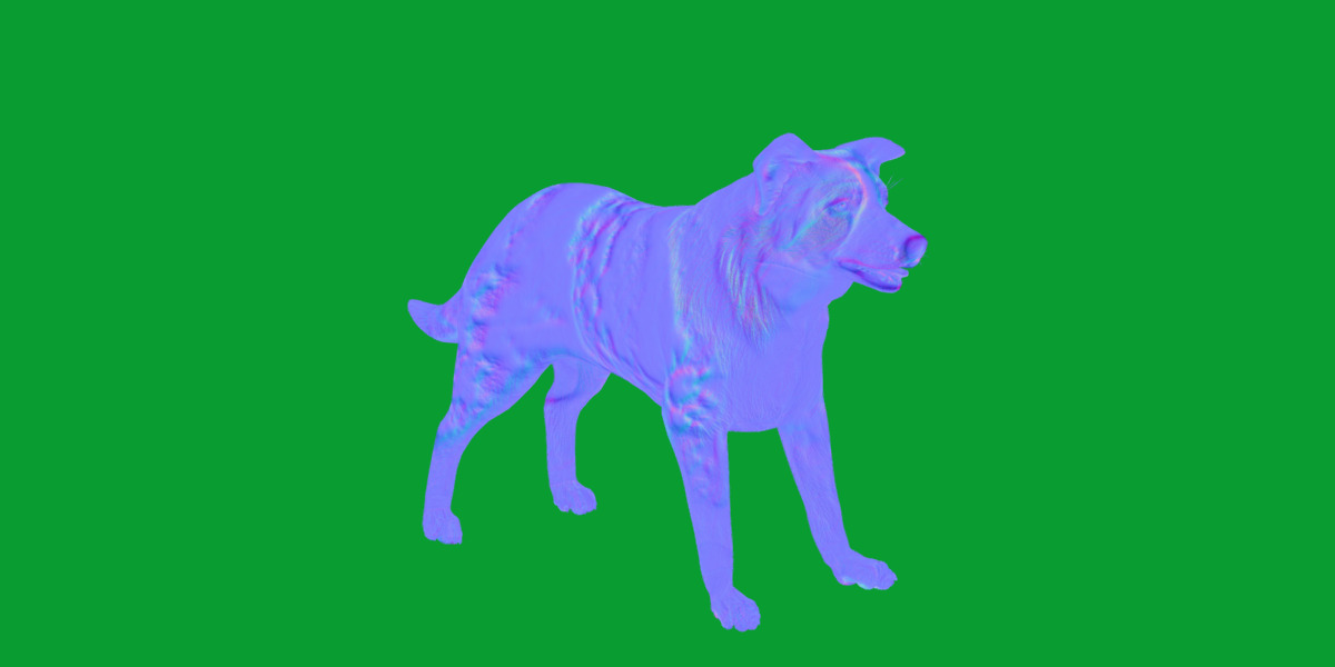 Blue Merle Border Collie Dog Low-poly 3D model_22