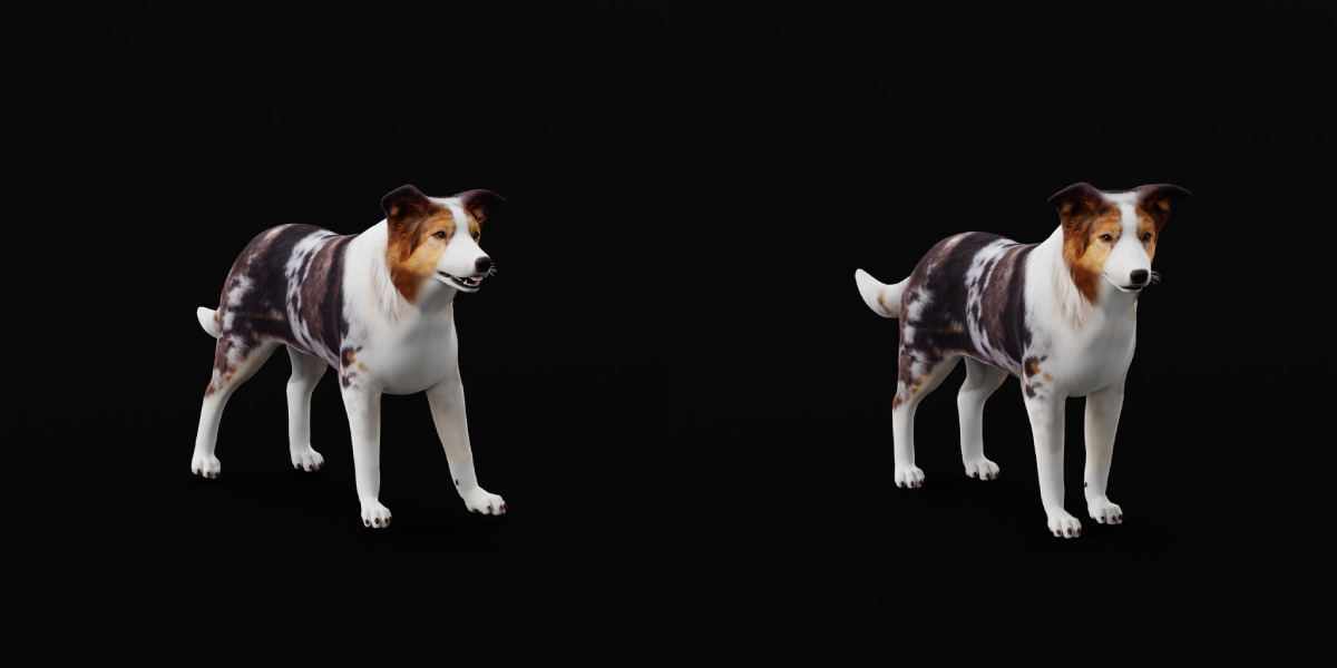 Blue Merle Border Collie Dog Low-poly 3D model_15