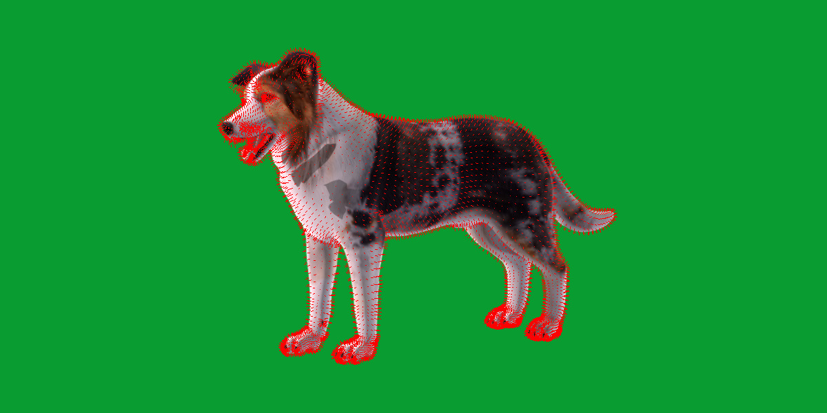 Blue Merle Border Collie Dog Low-poly 3D model_2