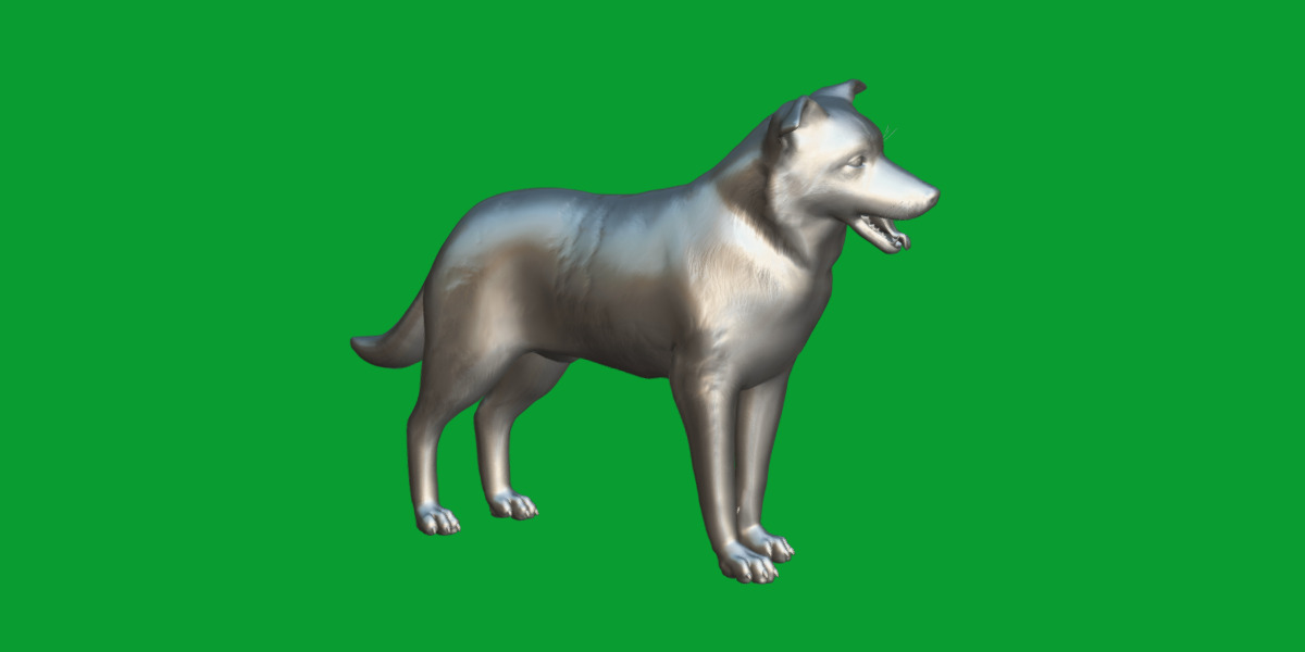 Blue Merle Border Collie Dog Low-poly 3D model_24