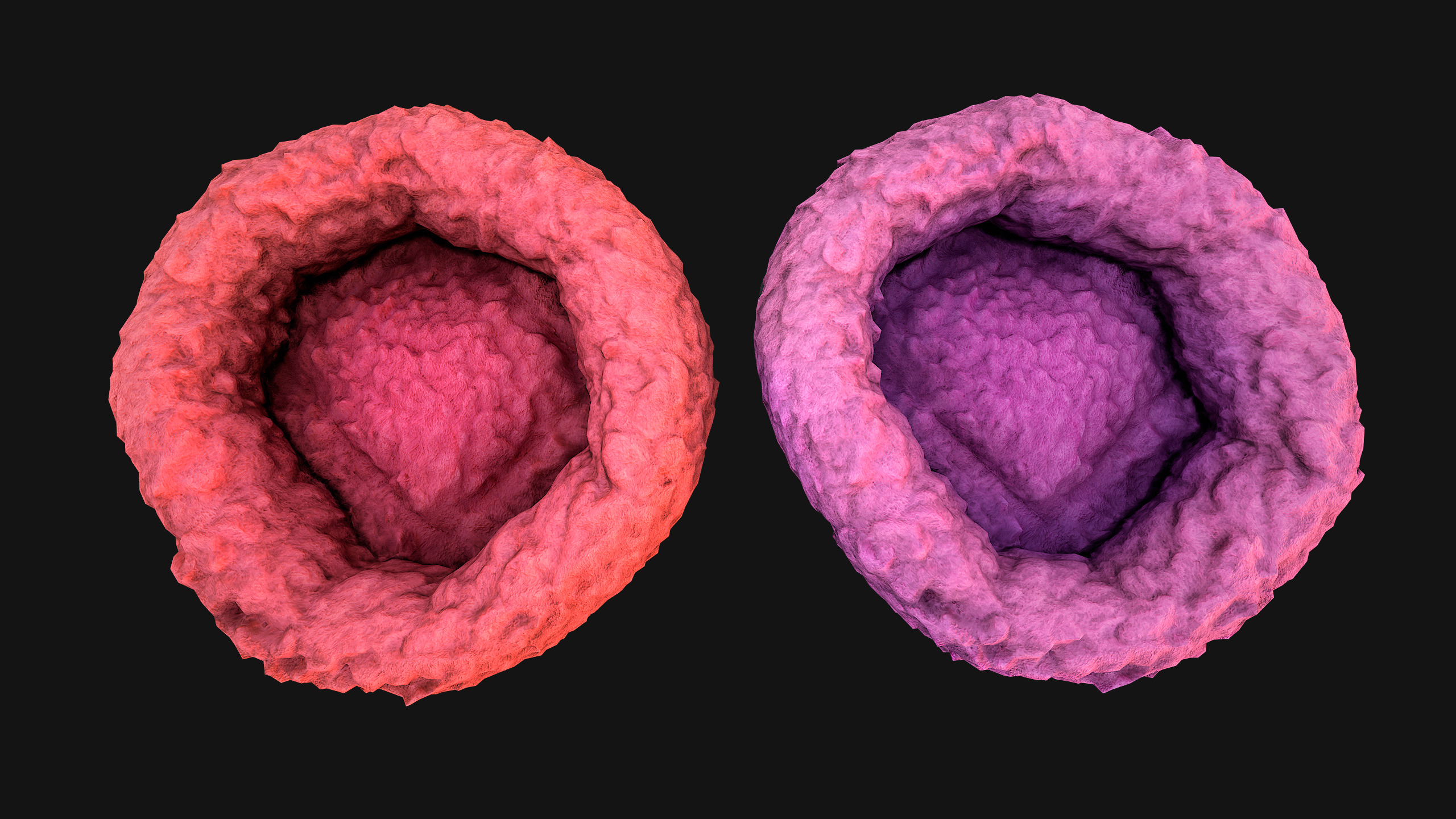 Pet Bed Sofa Pillow Cat Dog Zoo Furniture Pack Low-poly 3D model_65