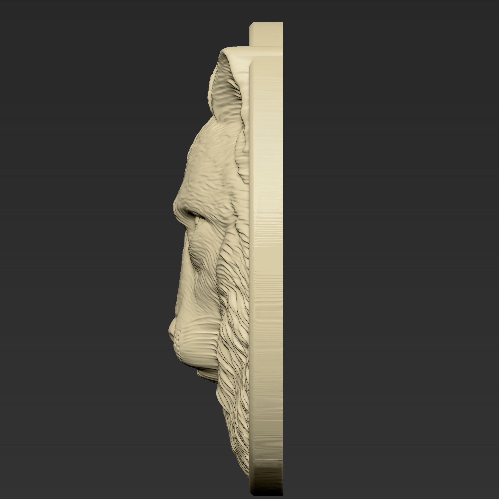 Wolf Head A79 3D print model_3