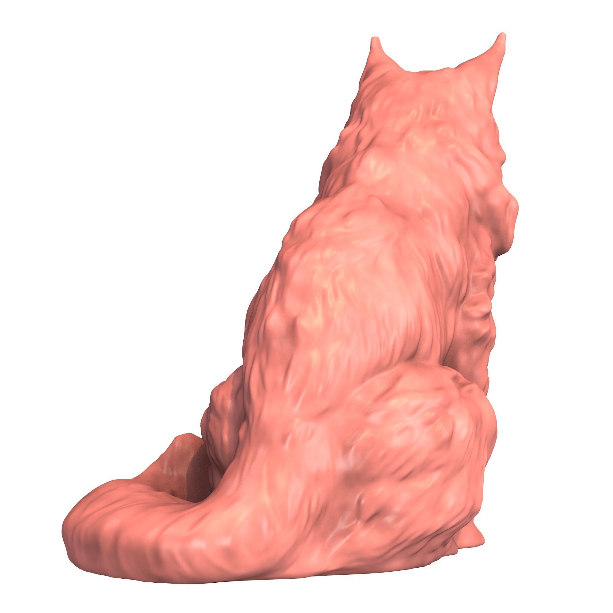 Maine Coon Cat 3D print model_3