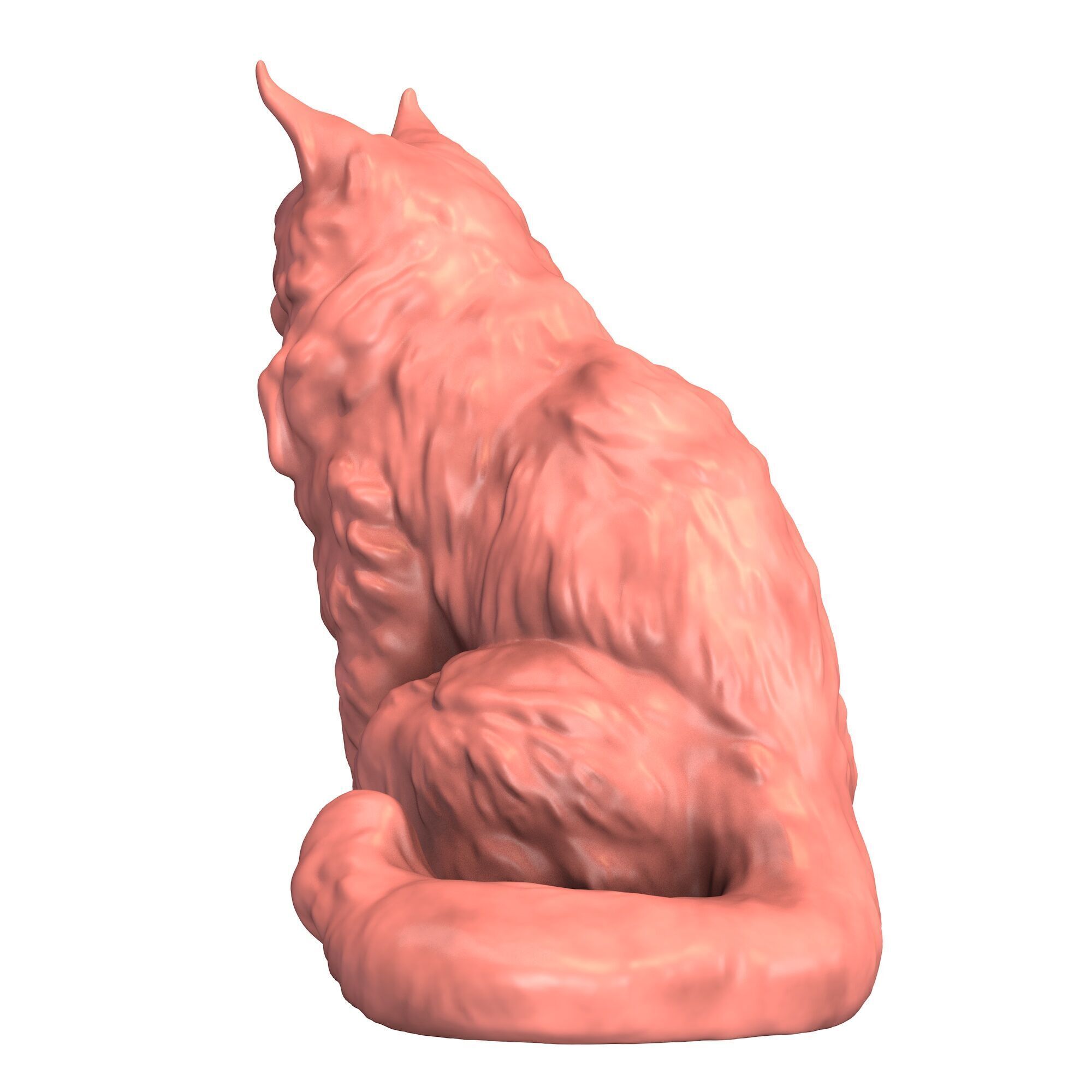 Maine Coon Cat 3D print model_2