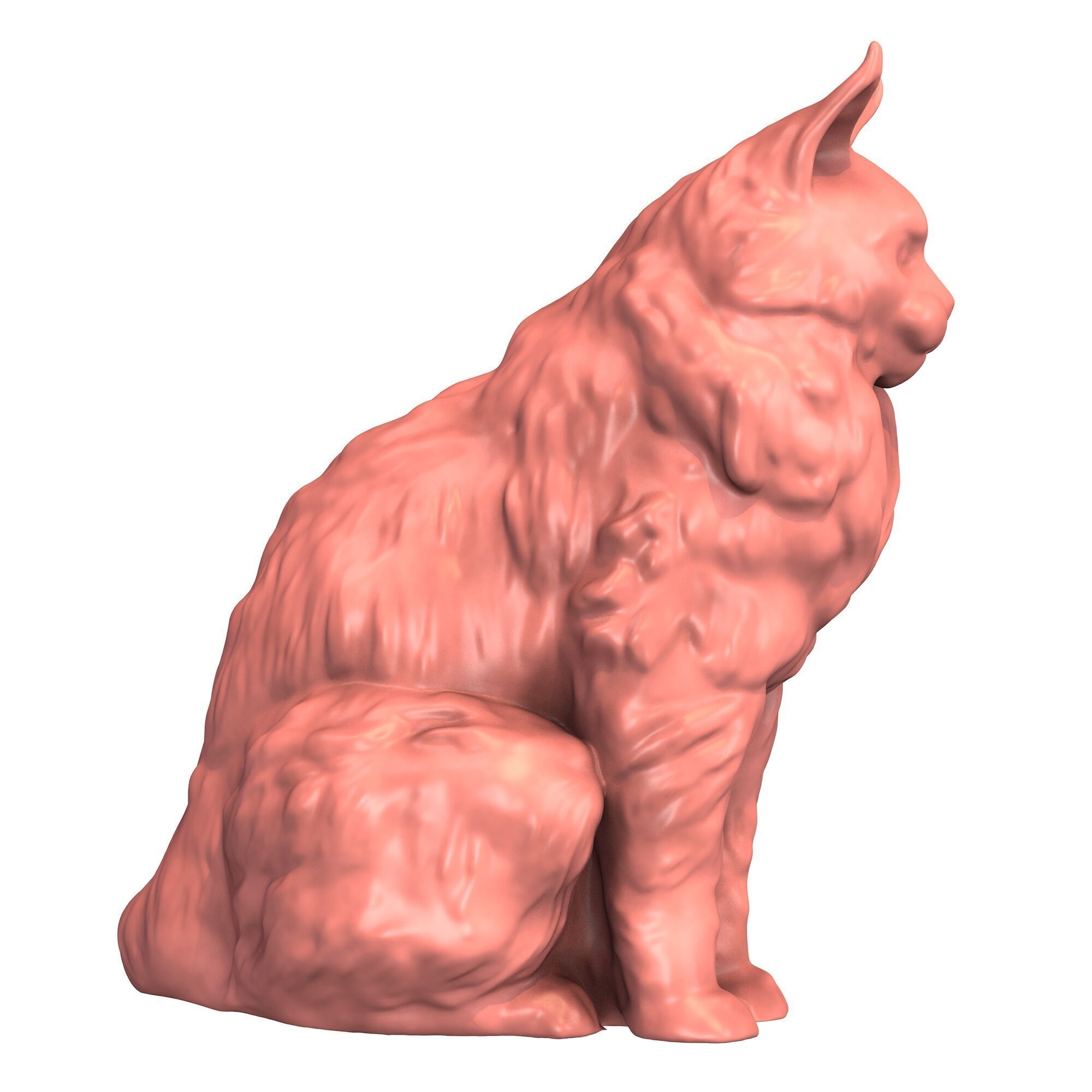 Maine Coon Cat 3D print model_4