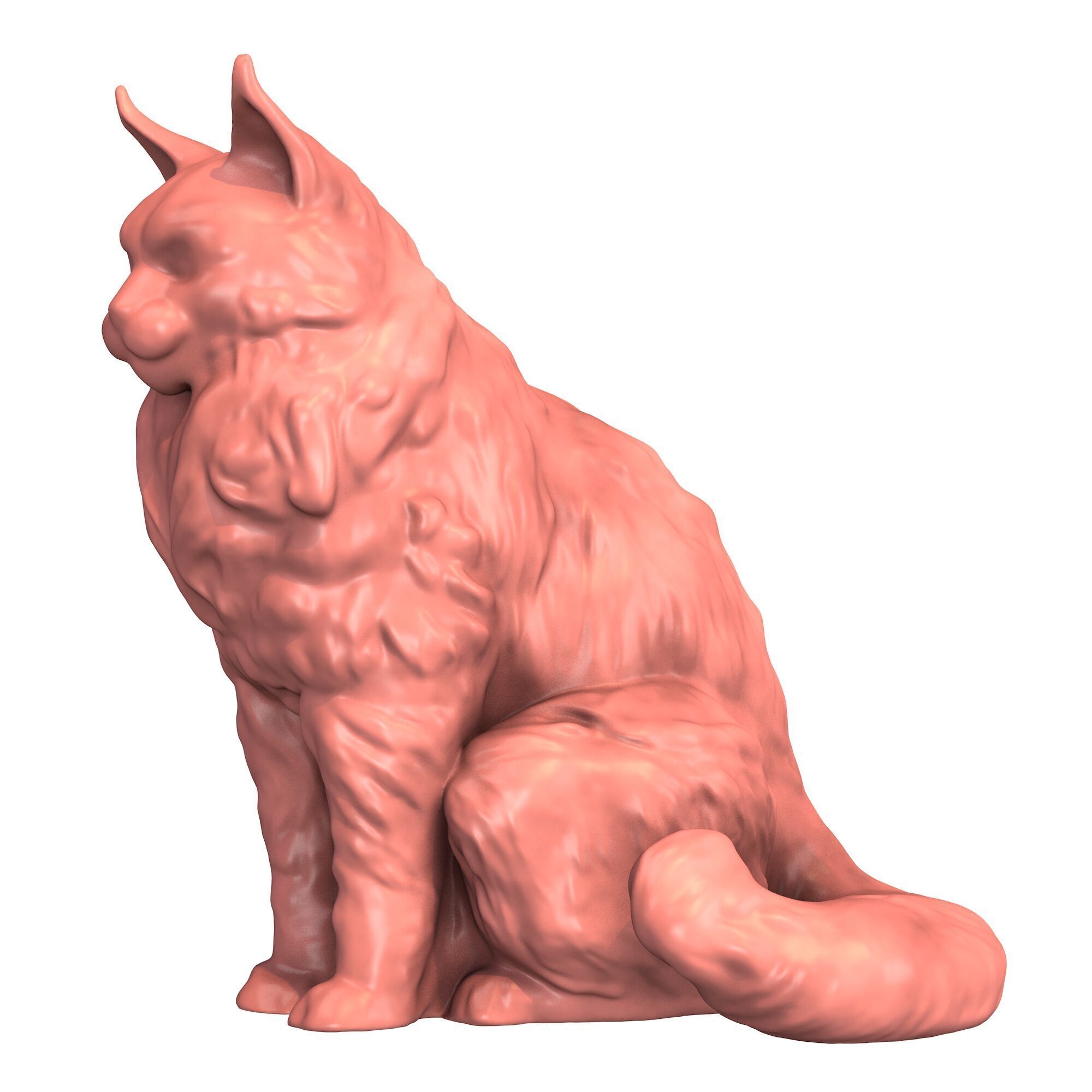 Maine Coon Cat 3D print model_1