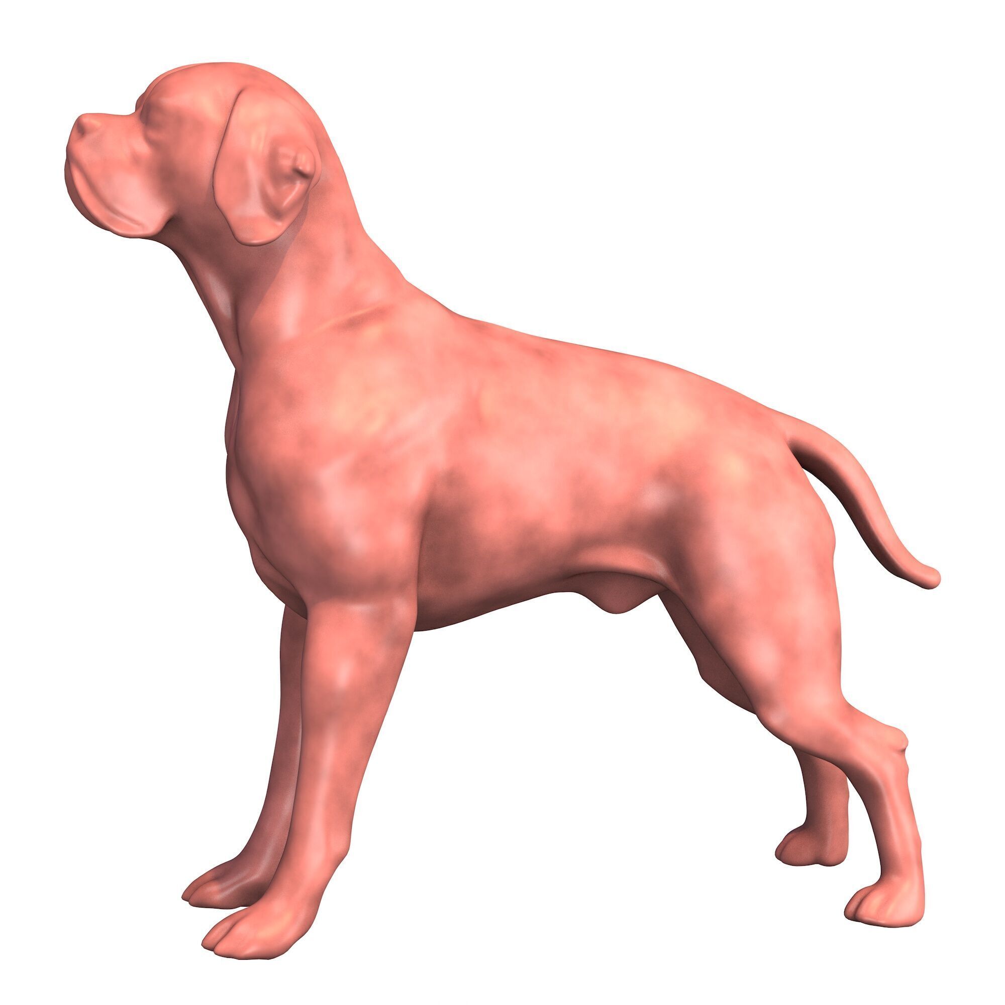 Portuguese Pointer Dog Figurine 3D print model_1