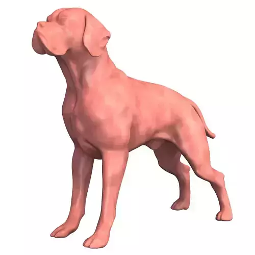 Portuguese Pointer Dog Figurine