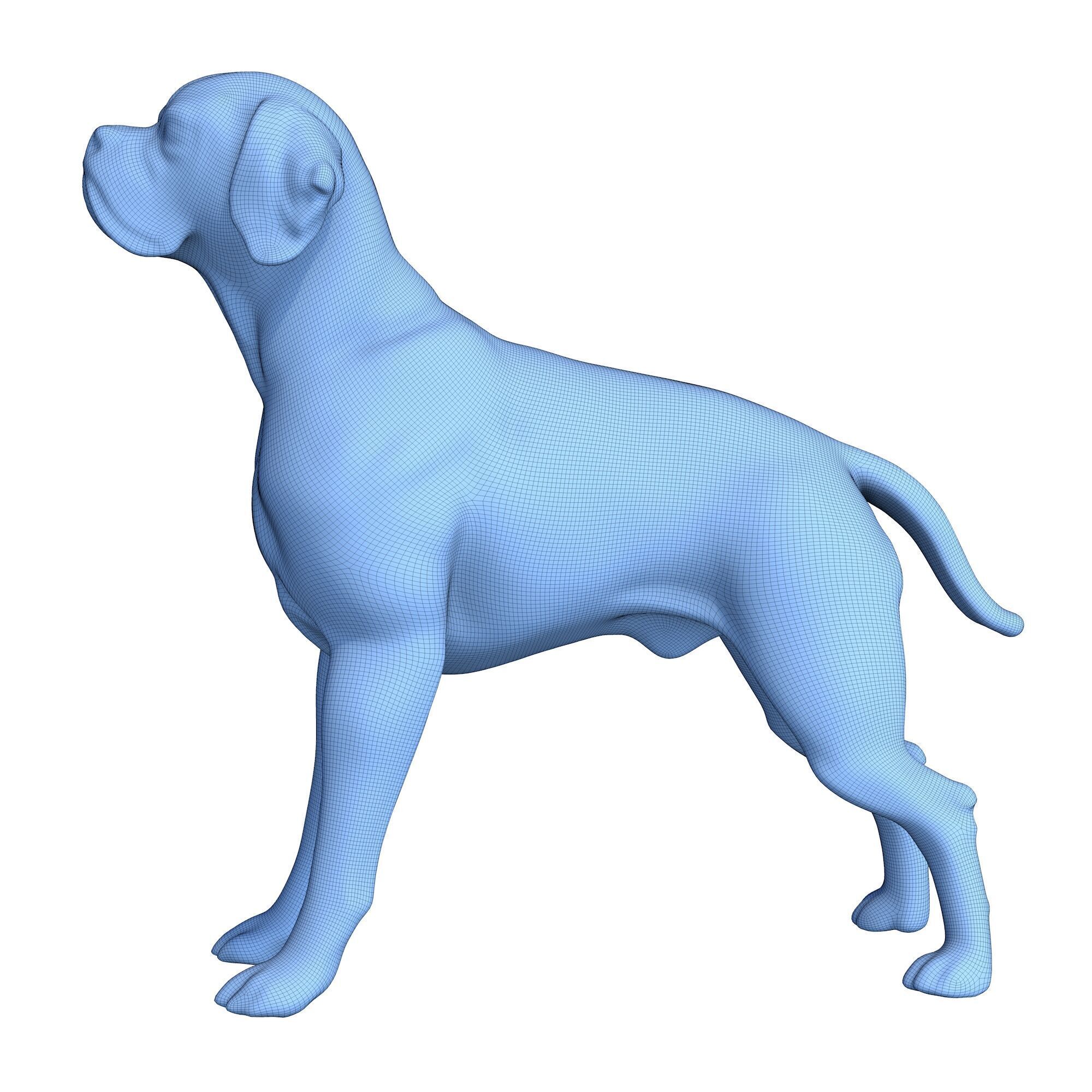 Portuguese Pointer Dog Figurine 3D print model_6