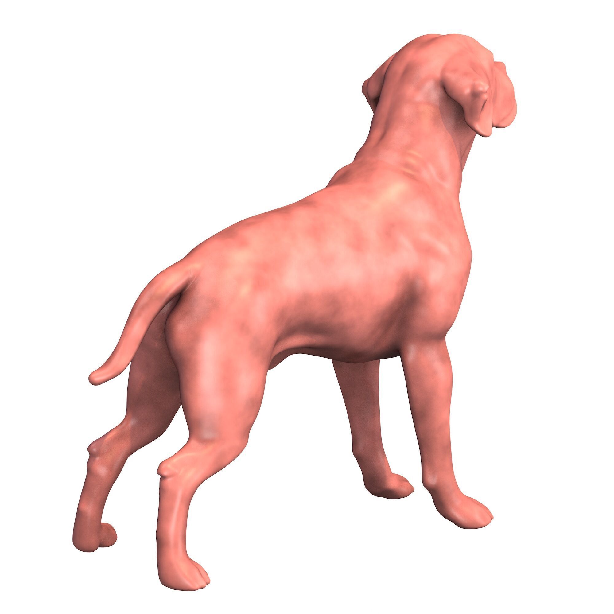Portuguese Pointer Dog Figurine 3D print model_3