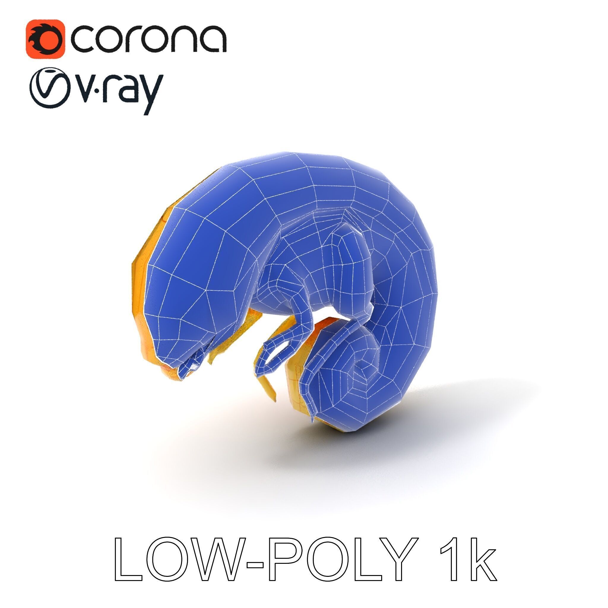 Chameleon Embryo Model Pack for Realistic Rendering Low-poly 3D model_30