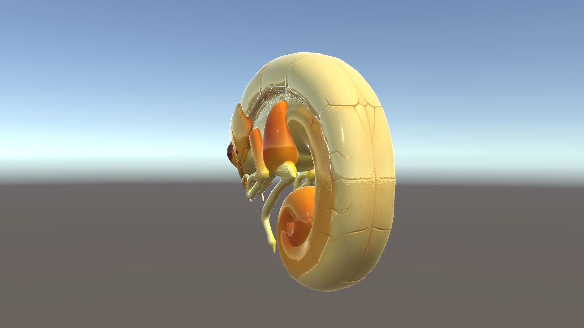 Chameleon Embryo Model Pack for Realistic Rendering Low-poly 3D model_6
