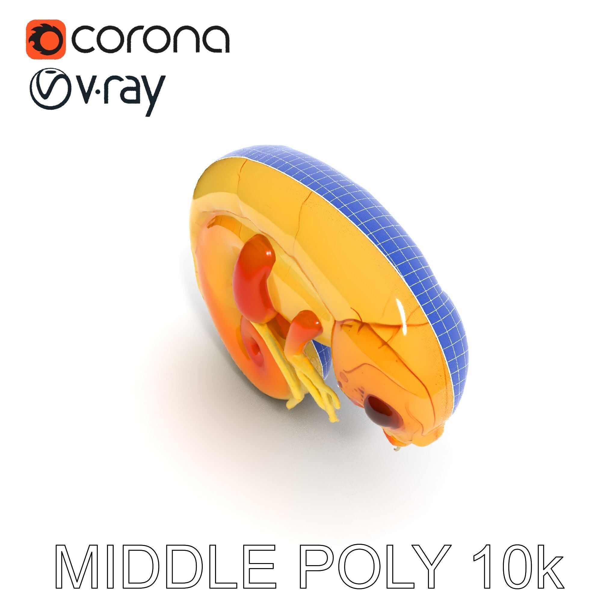 Chameleon Embryo Model Pack for Realistic Rendering Low-poly 3D model_26