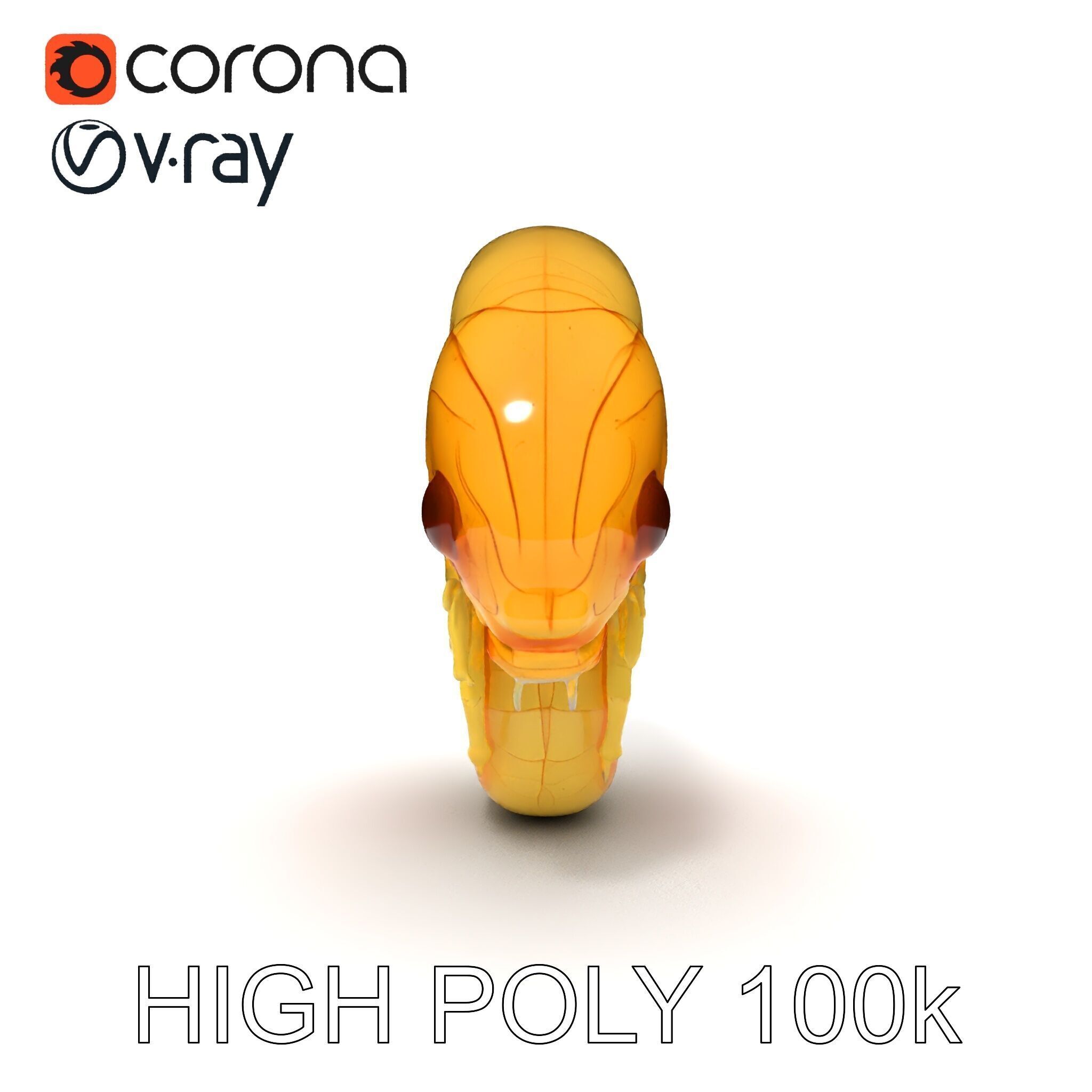 Chameleon Embryo Model Pack for Realistic Rendering Low-poly 3D model_20