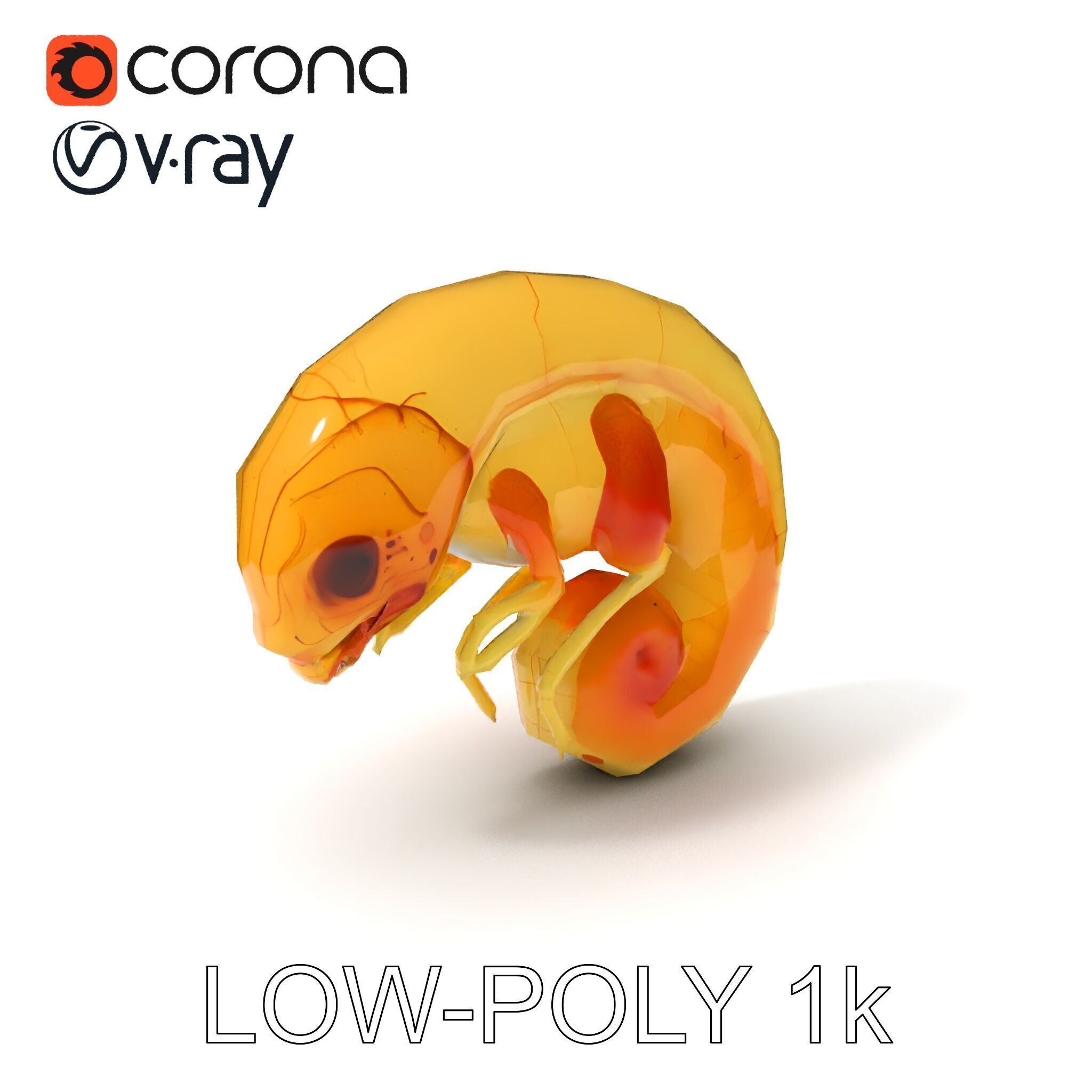 Chameleon Embryo Model Pack for Realistic Rendering Low-poly 3D model_11