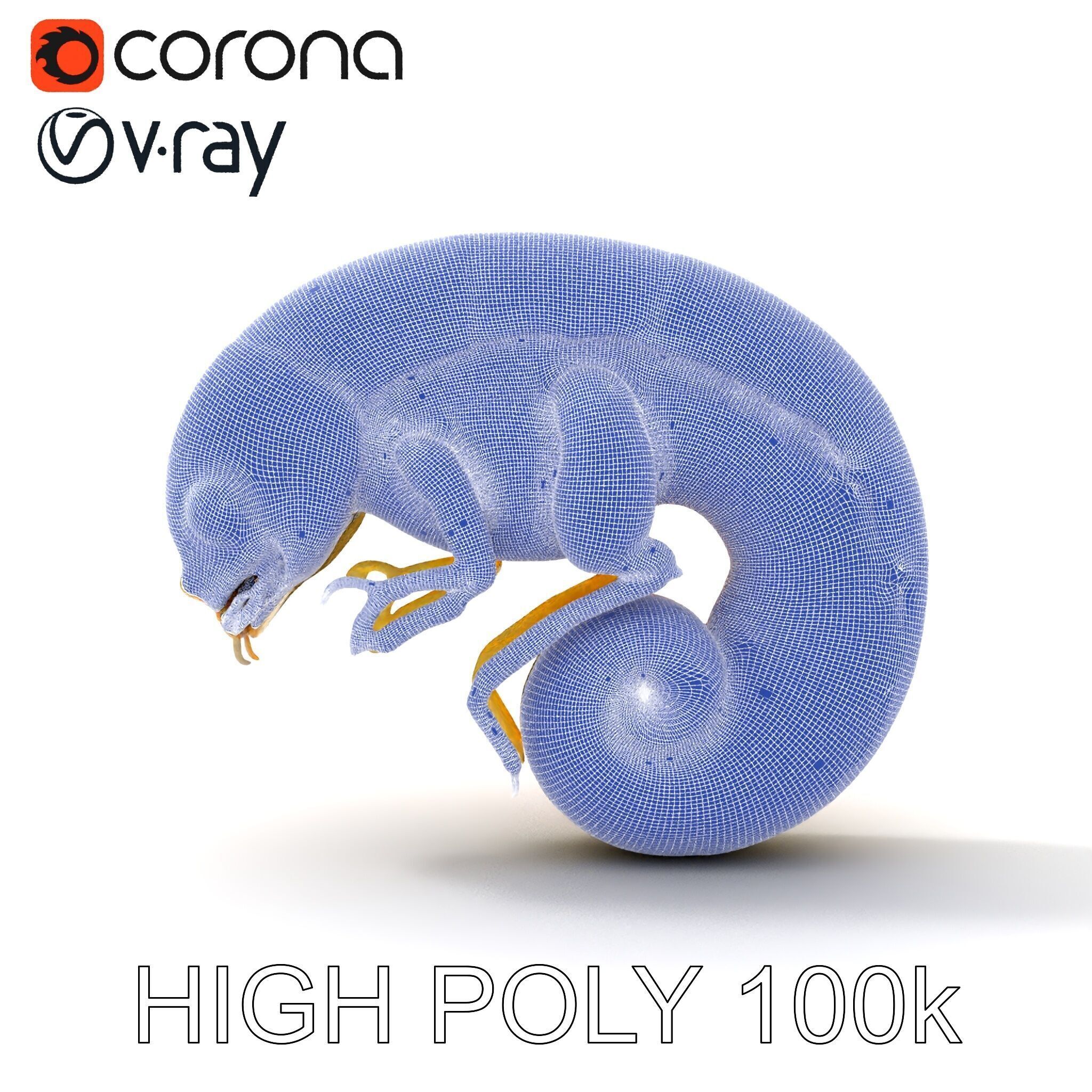 Chameleon Embryo Model Pack for Realistic Rendering Low-poly 3D model_17