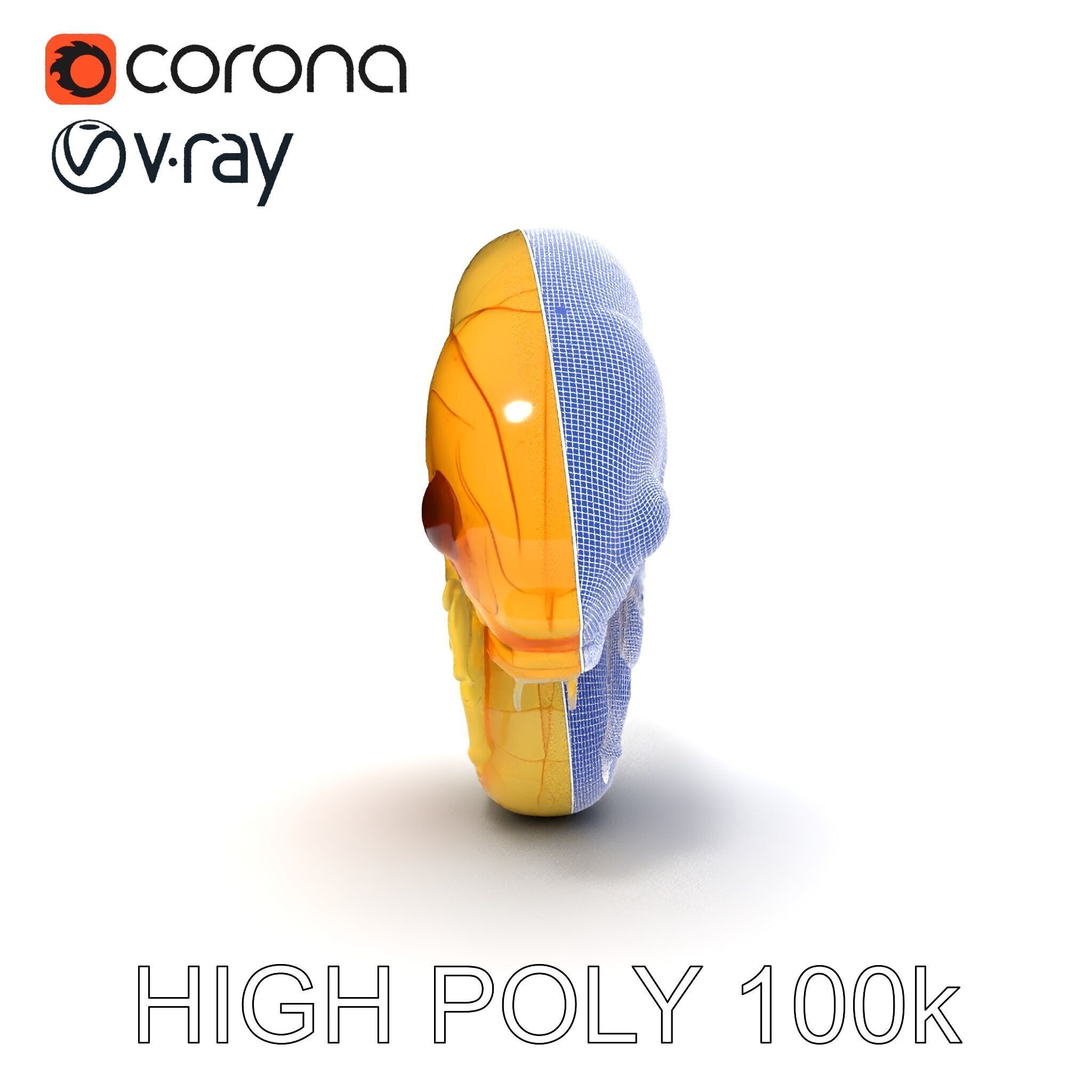 Chameleon Embryo Model Pack for Realistic Rendering Low-poly 3D model_34