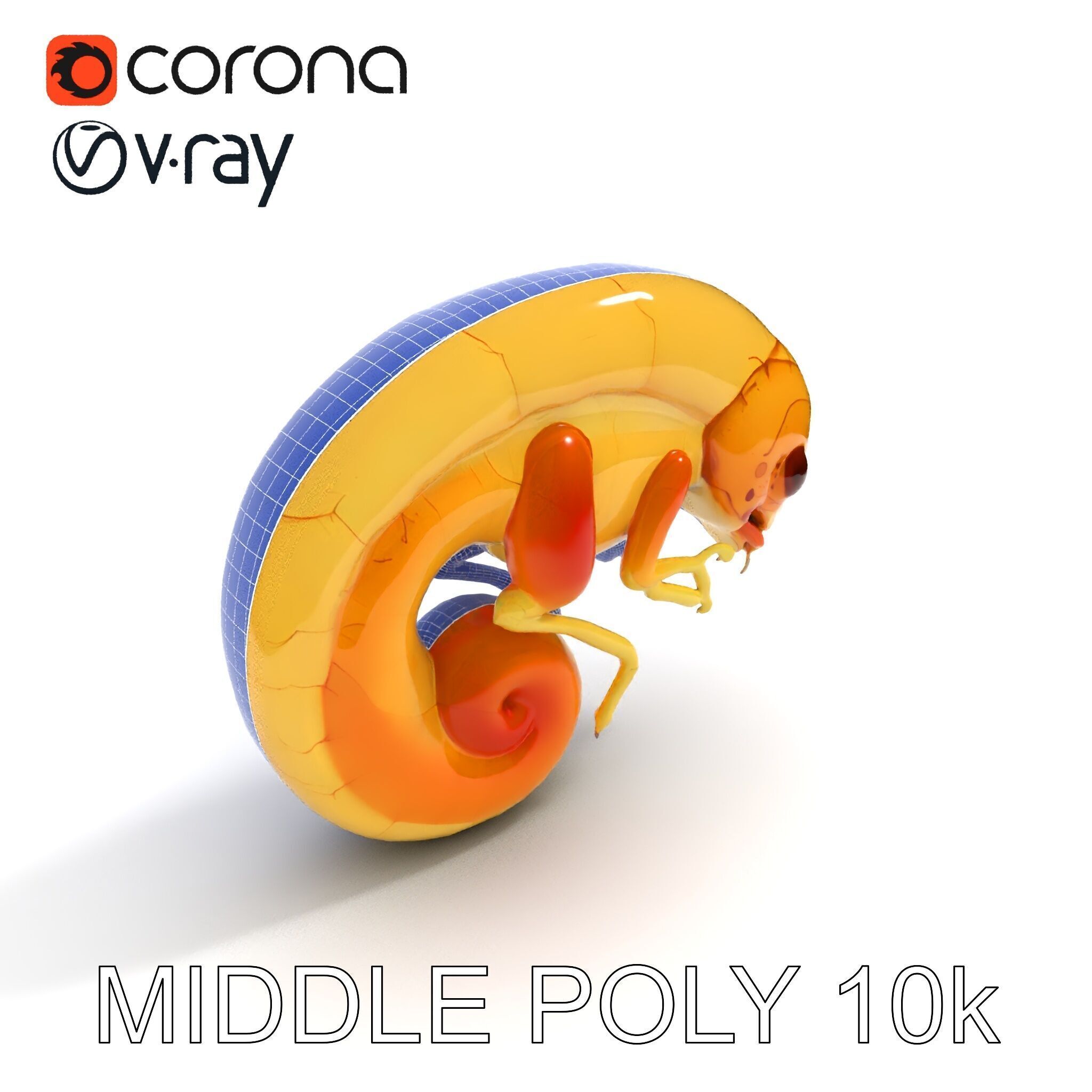 Chameleon Embryo Model Pack for Realistic Rendering Low-poly 3D model_29