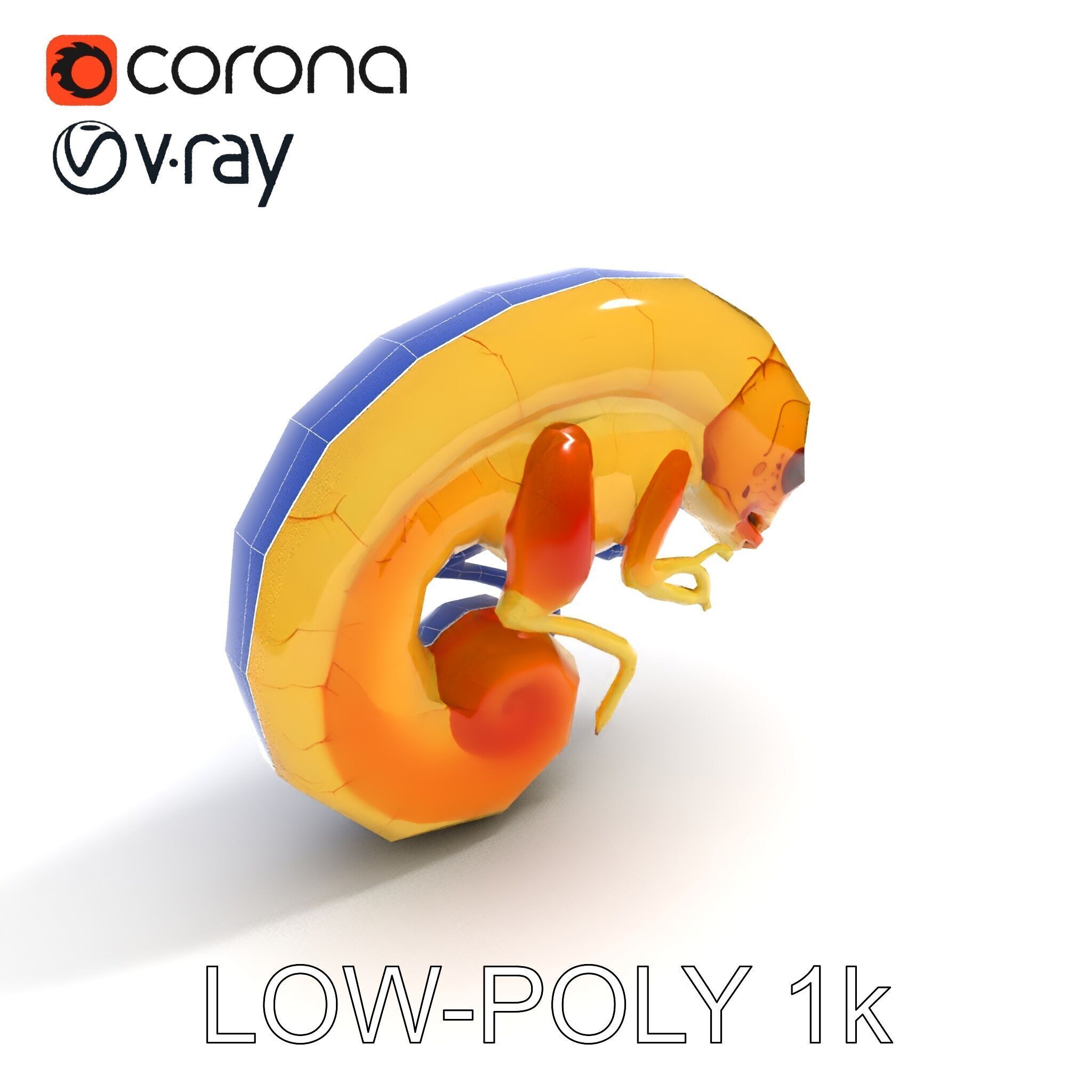 Chameleon Embryo Model Pack for Realistic Rendering Low-poly 3D model_33