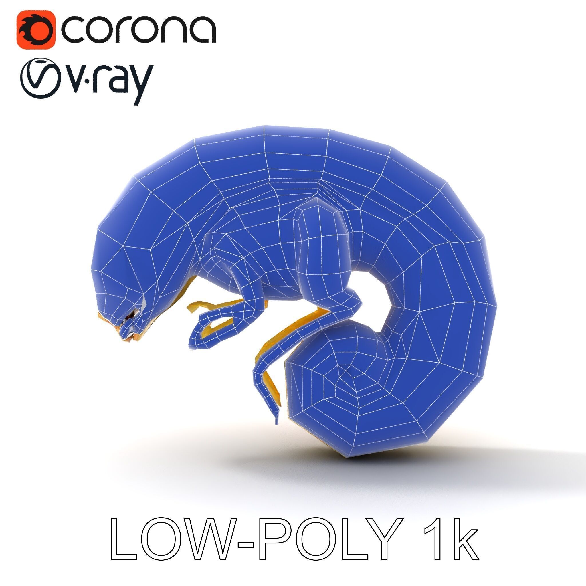 Chameleon Embryo Model Pack for Realistic Rendering Low-poly 3D model_9