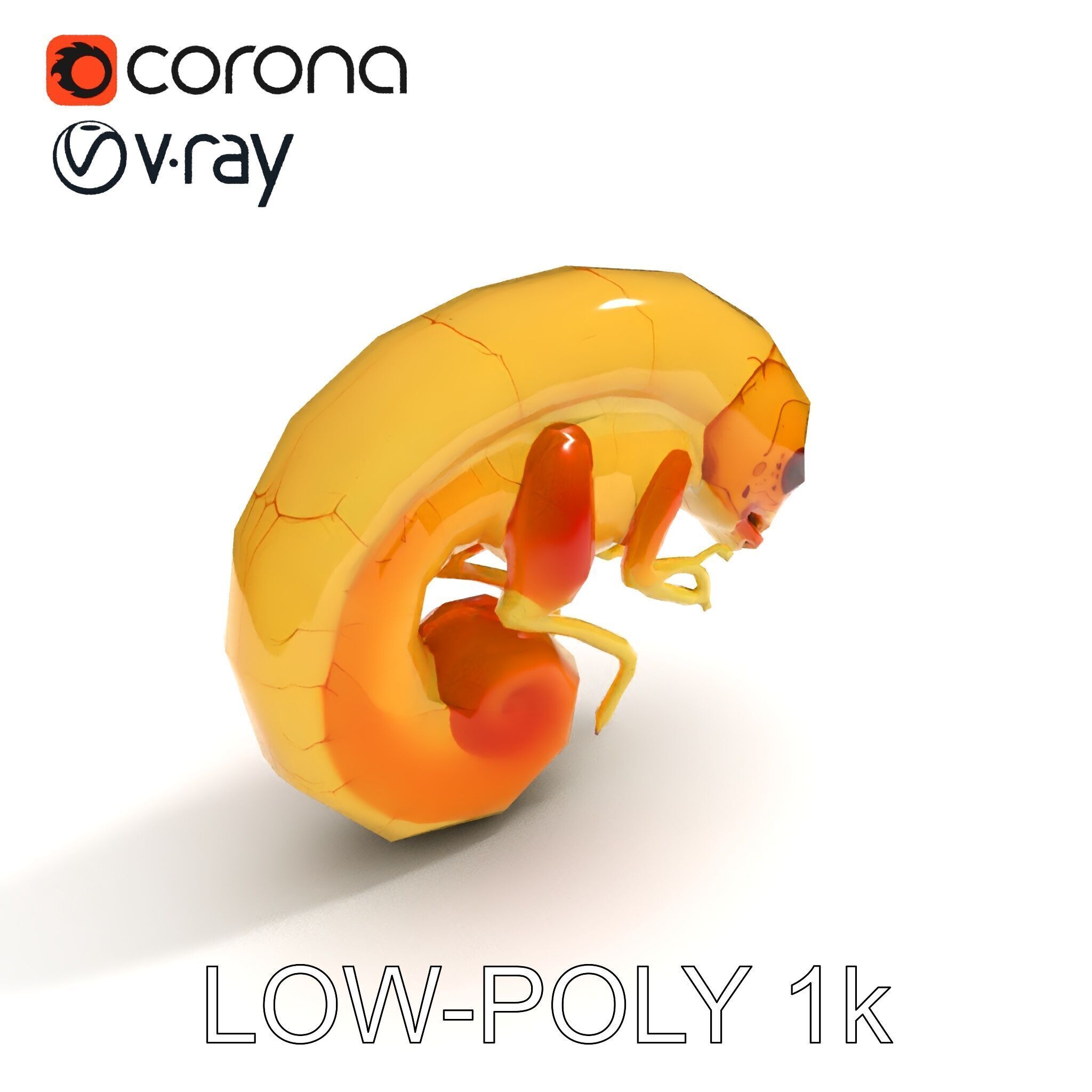 Chameleon Embryo Model Pack for Realistic Rendering Low-poly 3D model_22