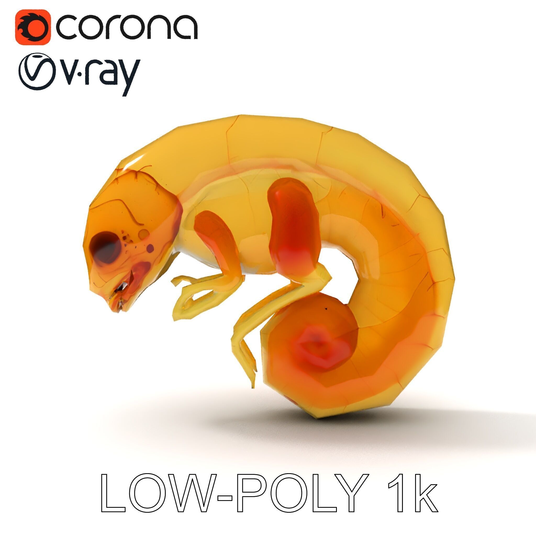 Chameleon Embryo Model Pack for Realistic Rendering Low-poly 3D model_16