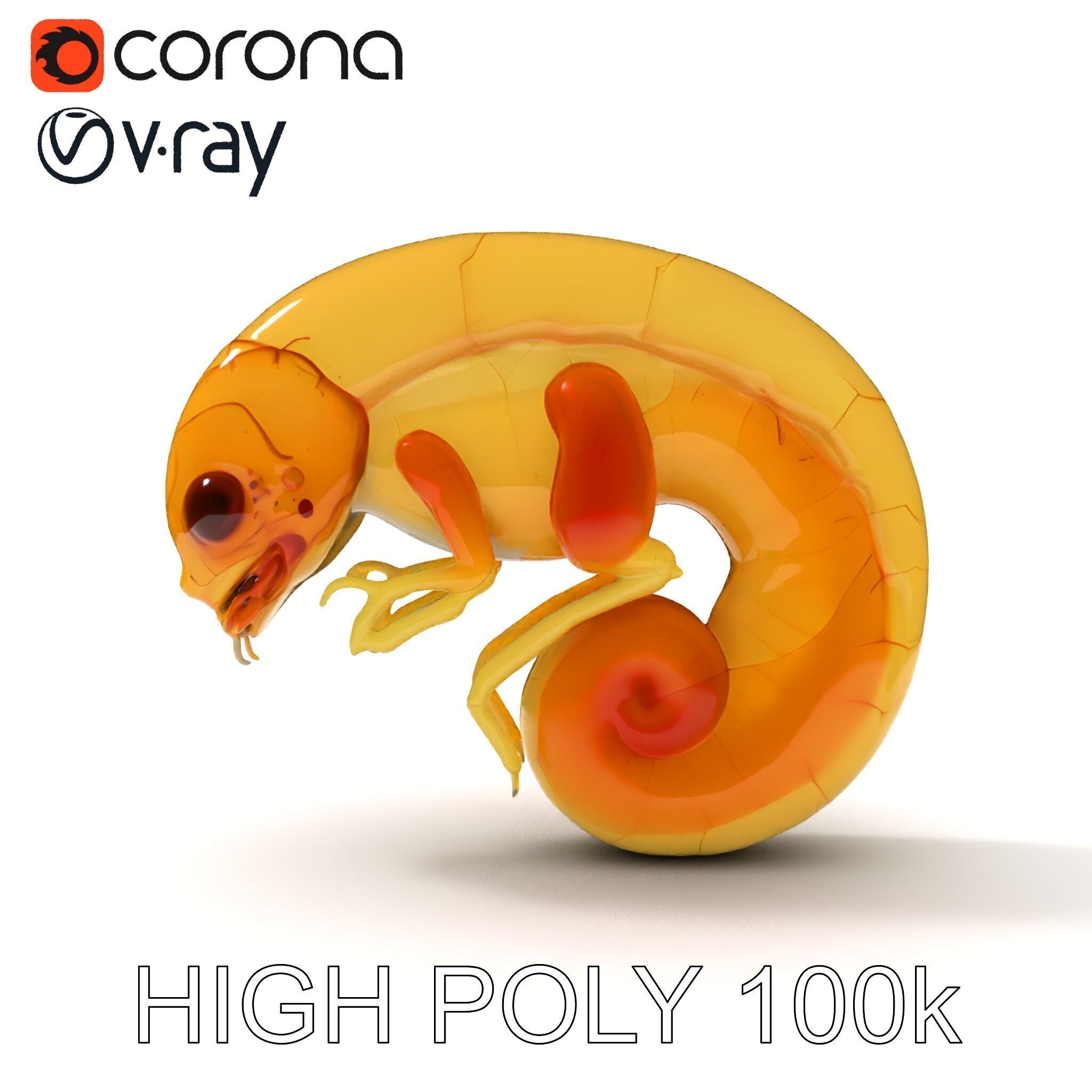 Chameleon Embryo Model Pack for Realistic Rendering Low-poly 3D model_31