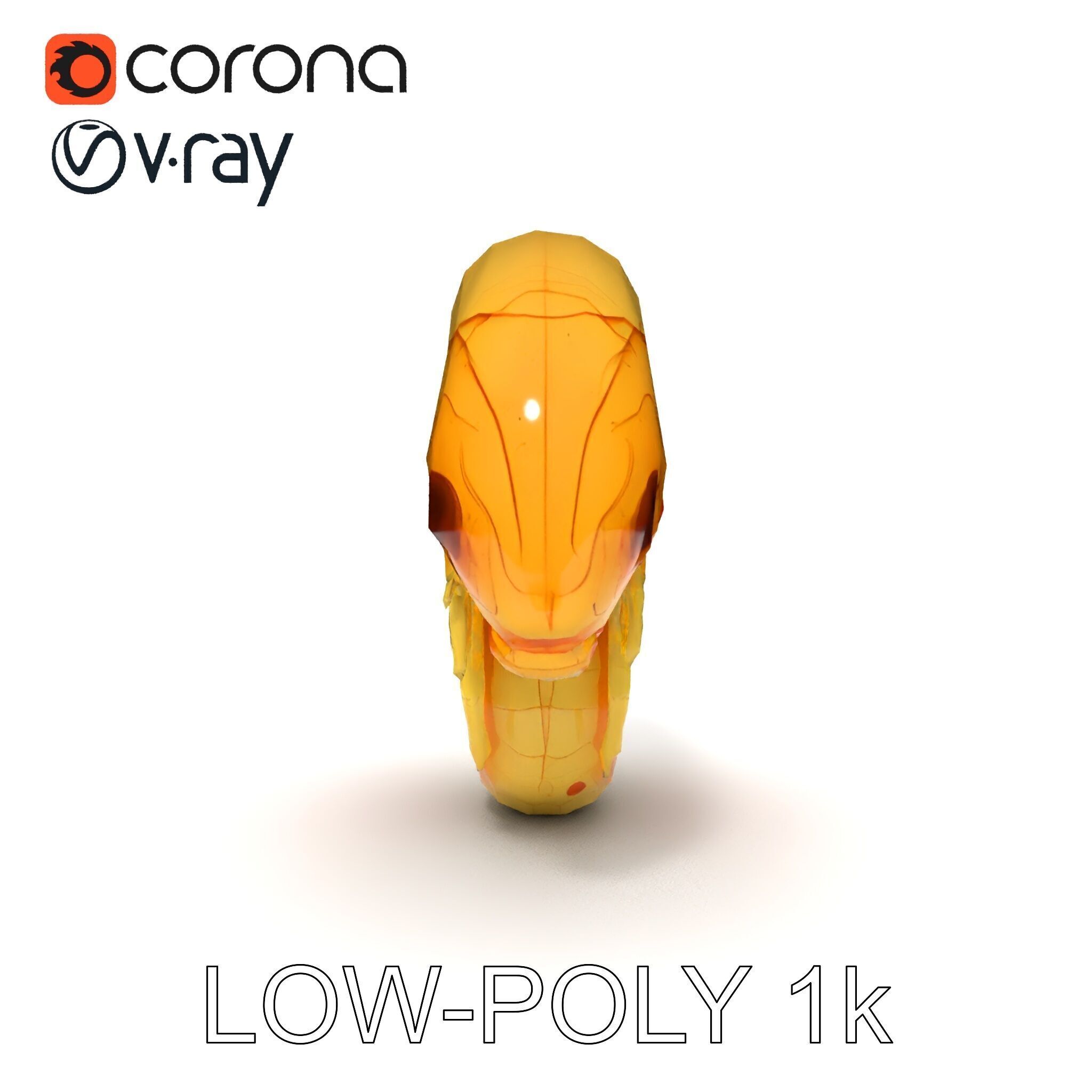 Chameleon Embryo Model Pack for Realistic Rendering Low-poly 3D model_13