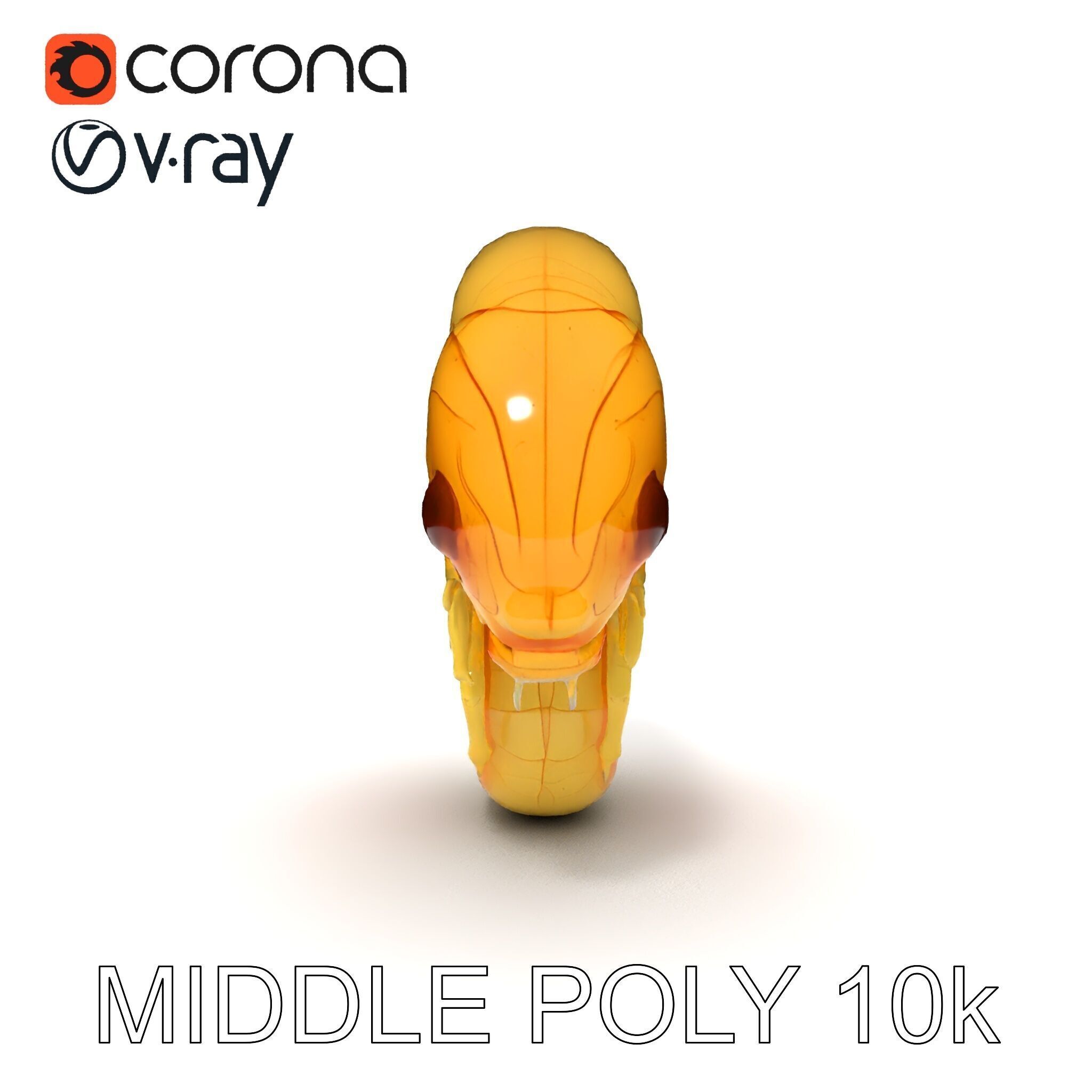 Chameleon Embryo Model Pack for Realistic Rendering Low-poly 3D model_21