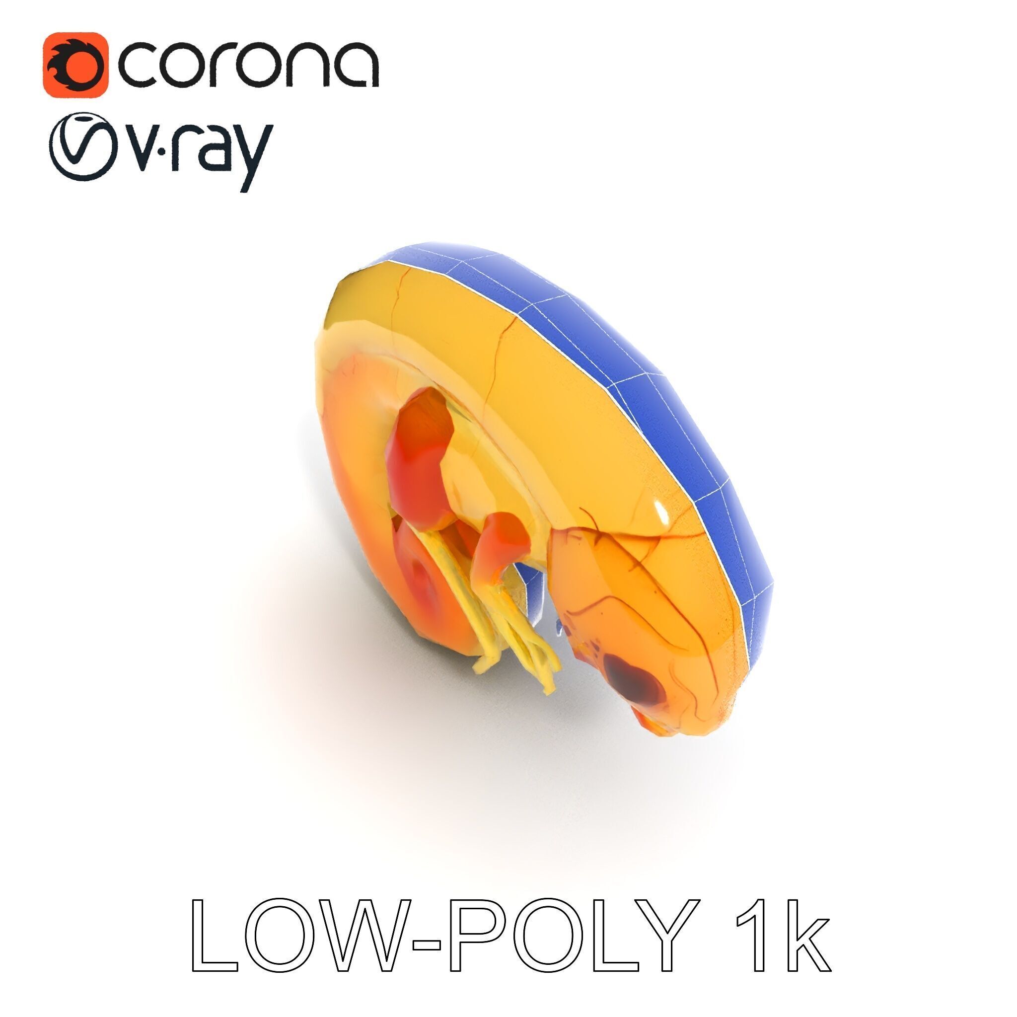 Chameleon Embryo Model Pack for Realistic Rendering Low-poly 3D model_7