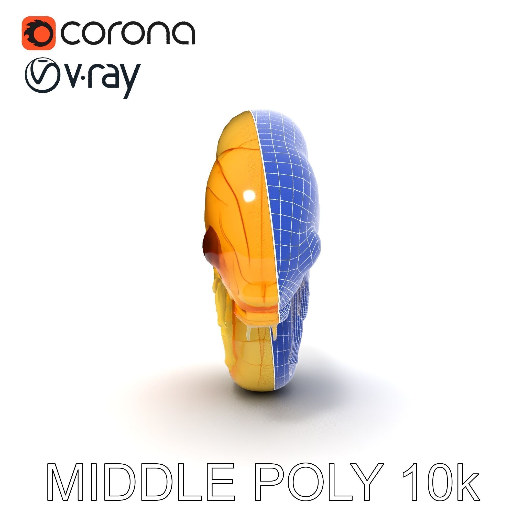 Chameleon Embryo Model Pack for Realistic Rendering Low-poly 3D model_10