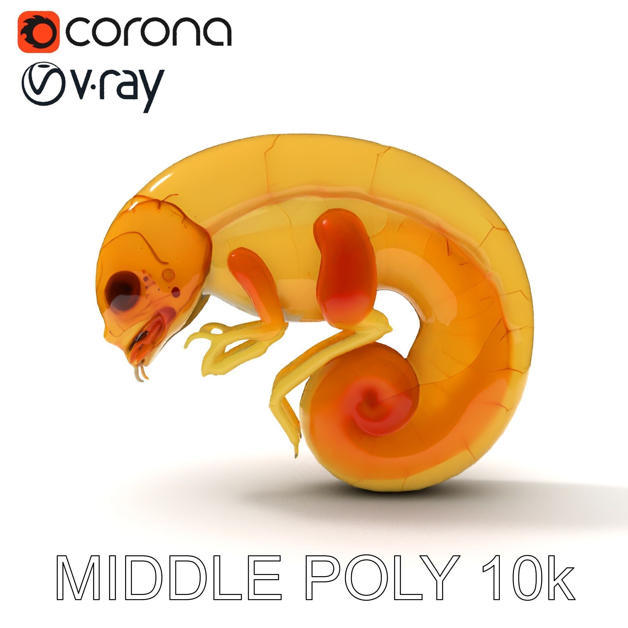 Chameleon Embryo Model Pack for Realistic Rendering Low-poly 3D model_8