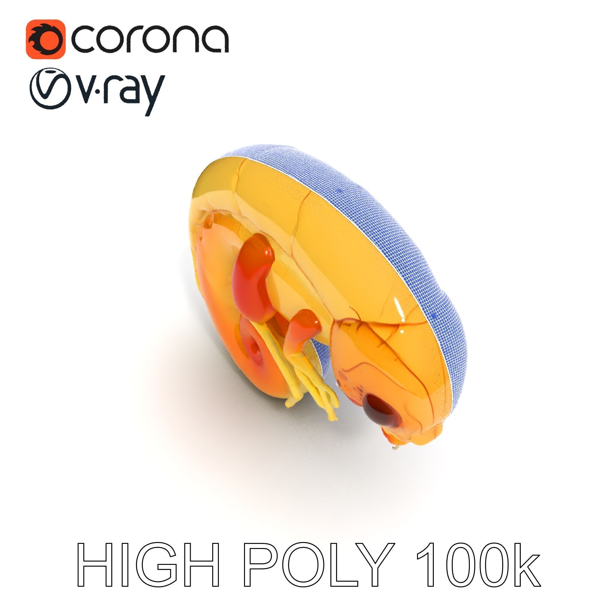 Chameleon Embryo Model Pack for Realistic Rendering Low-poly 3D model_14