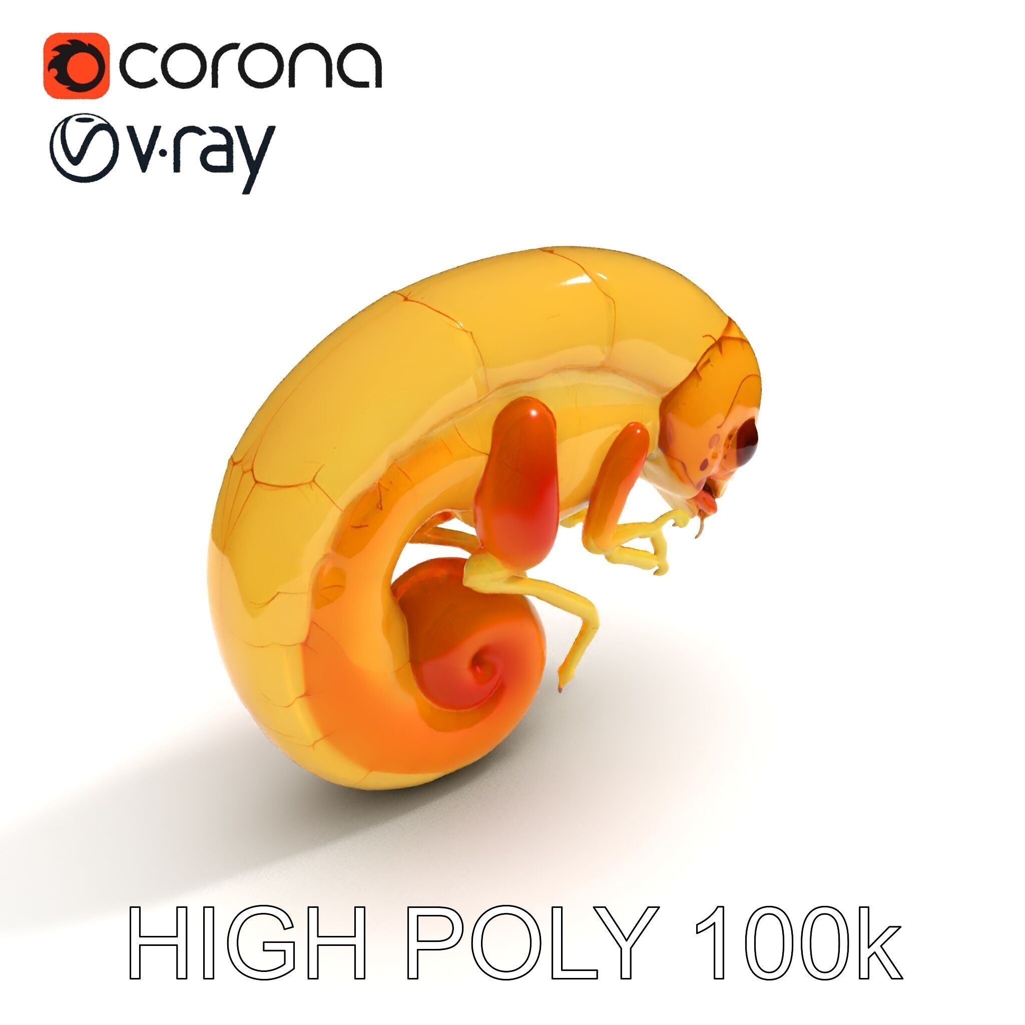 Chameleon Embryo Model Pack for Realistic Rendering Low-poly 3D model_28