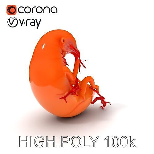 Alien Embryo Model Pack with Detailed Veins Low-poly 3D model