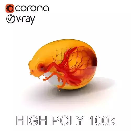 Embryonic Development Stage Model Pack