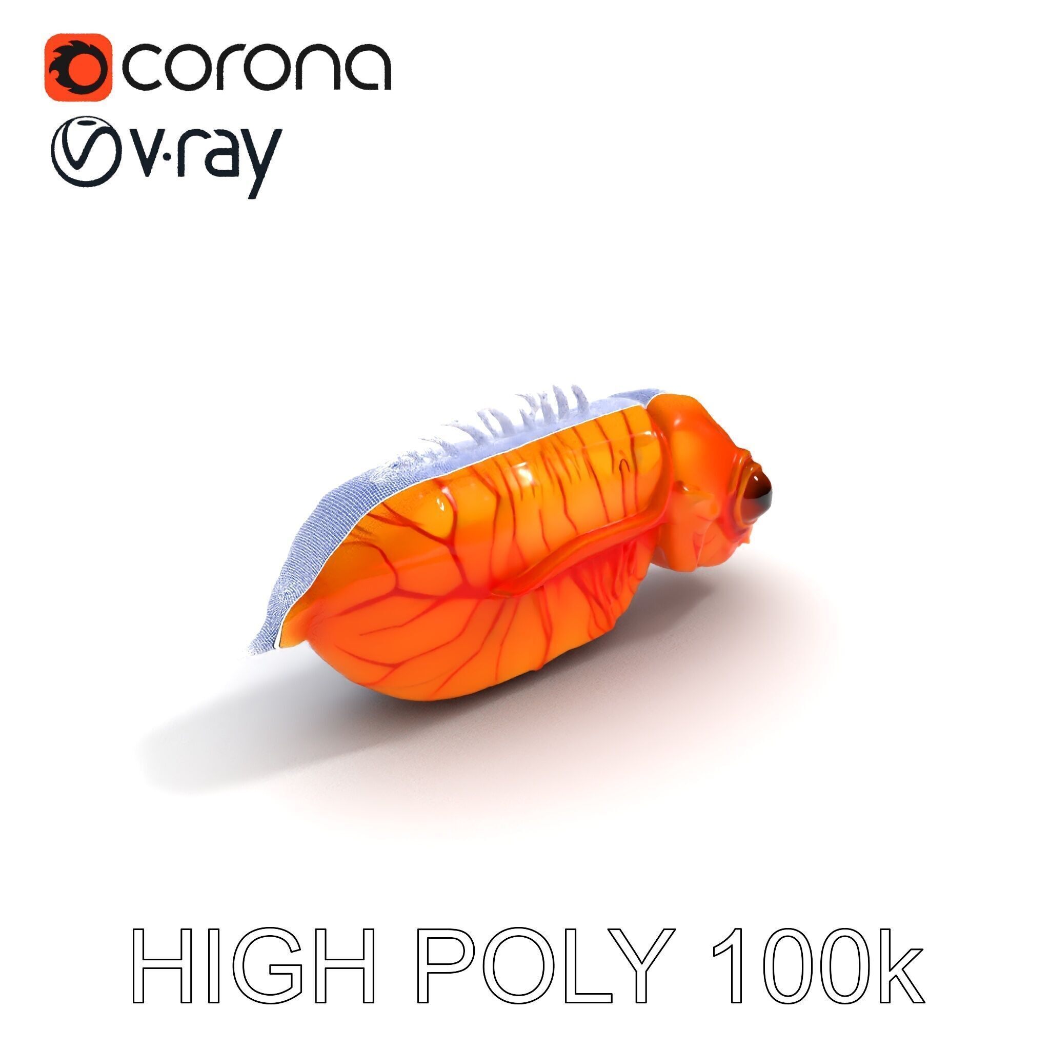 Futuristic Aquatic Creature Model Pack Low-poly 3D model_35